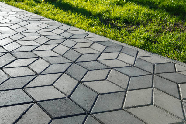 Best Professional Driveway Pavers  in Tarkio, MO