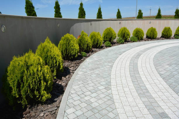 Reasons to Select Us for Your Driveway Paving Requirements in Tarkio, MO